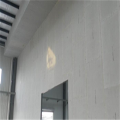 定安宁波ALC板|EPS加气板隔墙与混凝土整浇联接的实验研讨